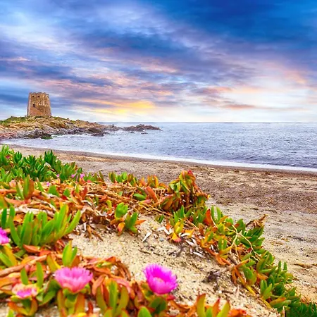 Mare Lindo Planargia *