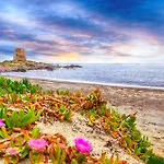 Mare Lindo Planargia *