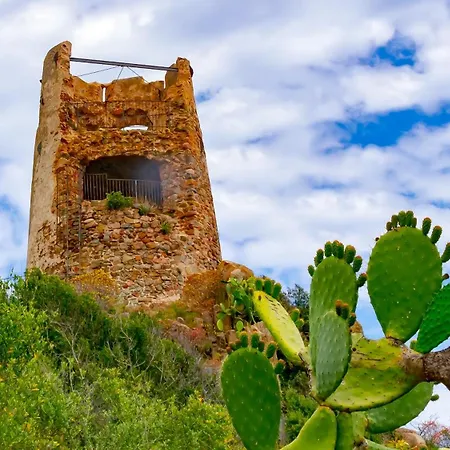 Mare Lindo Planargia *