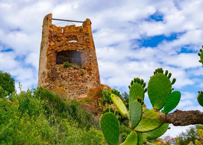 Mare Lindo Planargia *