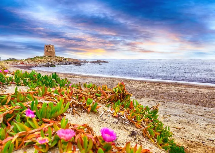 Mare Lindo Planargia *